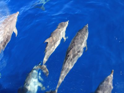 yoga on a shoestring - la gomera yoga holiday