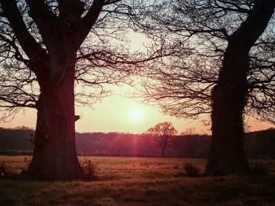 42 Acres yoga retreat - Yoga on a Shoestring