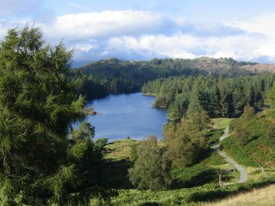 Yewfield, Lake District UK - yoga retreat - Yoga on a Shoestring