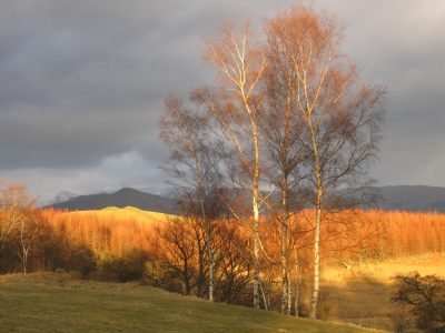 Yewfield, Lake District UK - yoga retreat - Yoga on a Shoestring