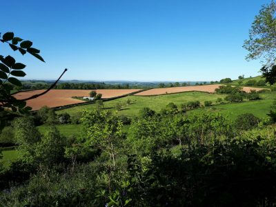 Eden Rise yoga retreat Devon - YOAS
