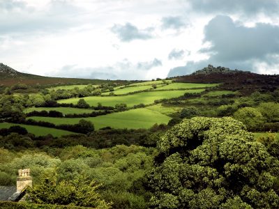 Eden Rise yoga retreat Devon - YOAS