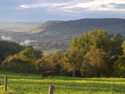 Eden Rise yoga retreat Devon - YOAS