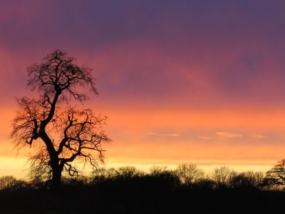 West Lexham retreat UK - Yoga on a Shoestring