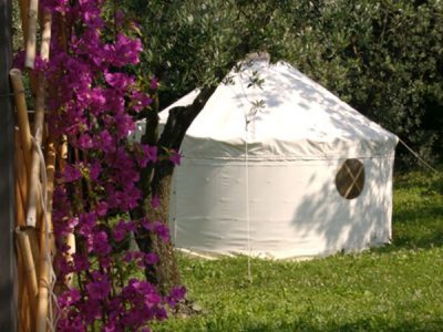 In Sabina, Italy - yoga holiday - YOAS
