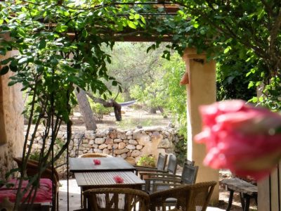 Ibiza - Moving Arts - Yoga on a Shoestring yoga holiday