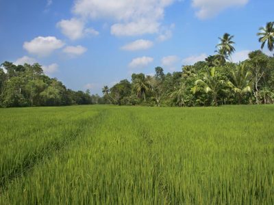 Sri Lanka - Sri Devi villas - Yoga on a Shoestring
