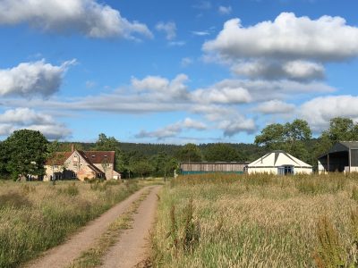 42 Acres yoga retreat - Yoga on a Shoestring