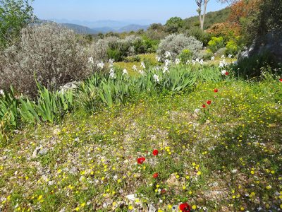 Turkey - yoga retreat - YOAS