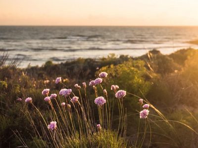 Cocoon Portugal - YOAS yoga retreats