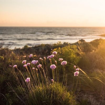 Cocoon Portugal - YOAS yoga retreats