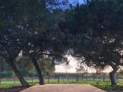 Yoga holiday - Cocoon, Portugal - Yoga on a Shoestring
