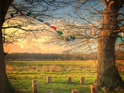 Somerset - yoga retreat - YOAS