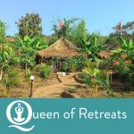 Queen of Retreats Yoga on a Shoestring Review - Banyan Tree, Goa, India