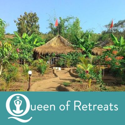 Queen of Retreats Yoga on a Shoestring Review - Banyan Tree, Goa, India