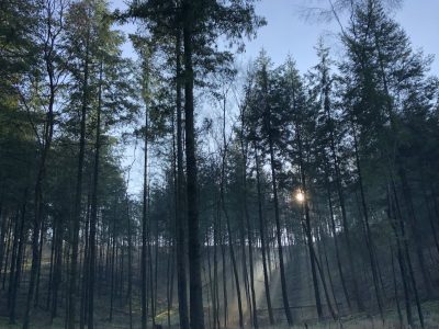 42 Acres Somerset - Yoga on a Shoestring