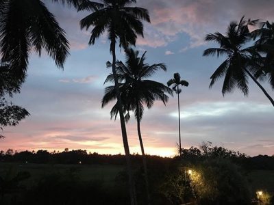 Sri Lanka - Sri Devi villas - Yoga on a Shoestring - YOAS - yoga holiday