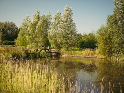 Blyth Rise Suffolk - Yoga on a Shoestring retreats - yoga - yoas