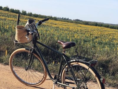 Cocoon, Atlantic coast, Portugal - YOAS - Yoga on a Shoestring retreat