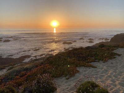 Cocoon, Atlantic coast, Portugal - YOAS - Yoga on a Shoestring retreat