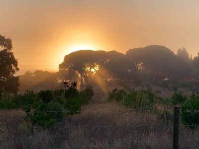 Cocoon, Atlantic coast, Portugal - YOAS - Yoga on a Shoestring retreat