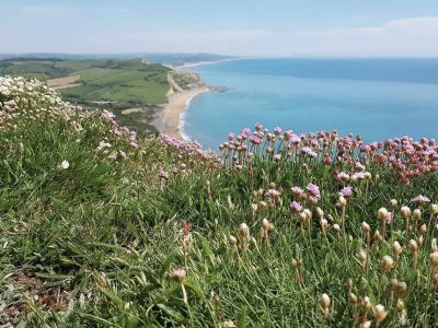 Bonhays retreat, Dorset - YOAS - Yoga on a Shoestring retreats
