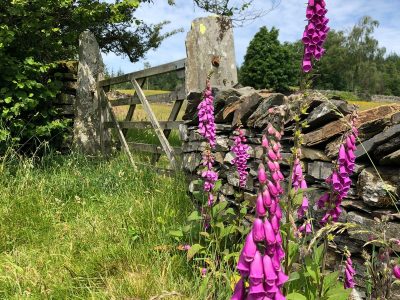 Yewfield, Lake District UK - yoga retreat - Yoga on a Shoestring