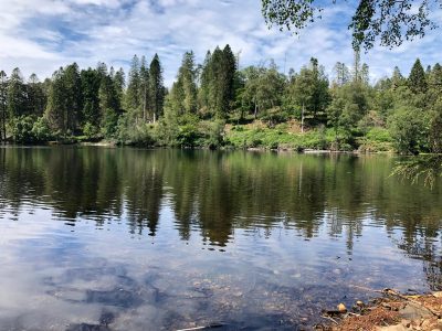 Yewfield, Lake District UK - yoga retreat - Yoga on a Shoestring