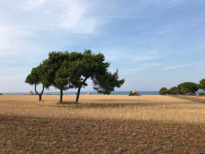Puglia-yoga-YOAS