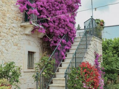 Puglia-yoga-YOAS