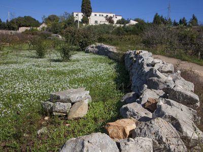 Puglia-yoga-YOAS