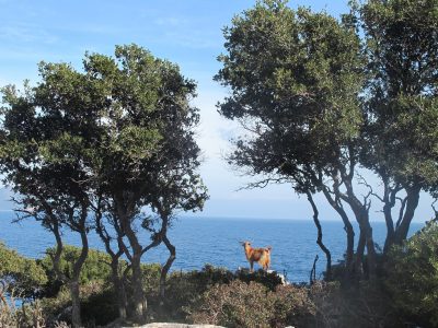 Ithaca - YOAS - Yoga