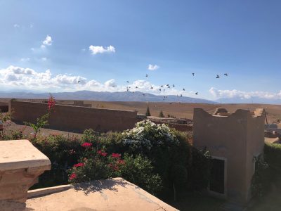 Tigmi - YOAS Yoga Retreats