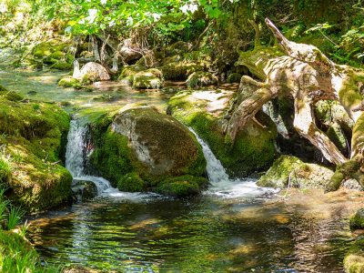 Bala Brook - YOAS - Yoga on a Shoestring
