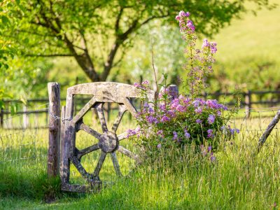 Bala Brook - YOAS - yoga retreat