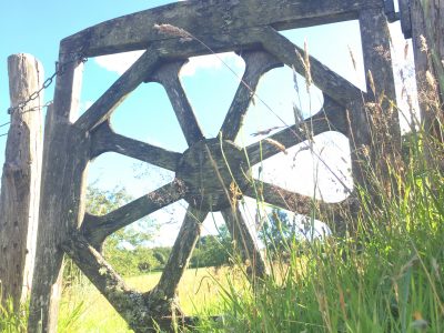 Balabrook-YOAS-Yoga on a Shoestring
