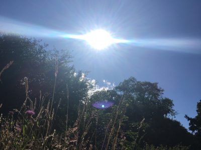 Balabrook-YOAS-Yoga on a Shoestring