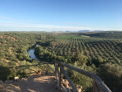 Cortijo San Jose - Yoga - YOAS