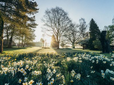 West Lexham - yoga on a shoestring - YOAS