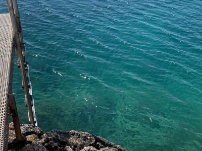Pelion - yoga - YOAS