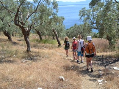 Pelion - yoga - YOAS