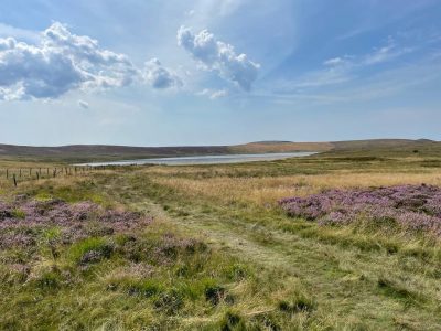 Wales - yoga retreat - YOAS