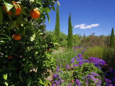 Finca Sanau Mallorca - Yoga - YOAS