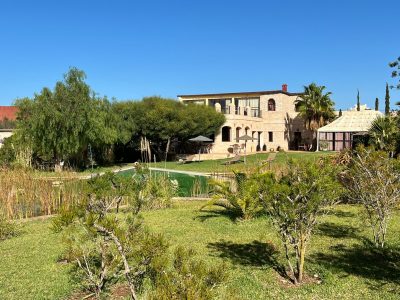 Essaouira - YOAS yoga retreats