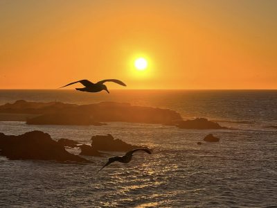 Essaouira - YOAS yoga retreats